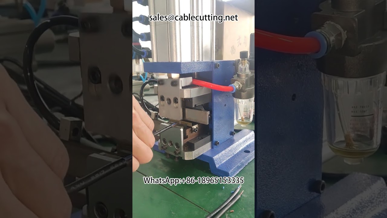 Sheath Wire Stripping and Twisted Wire Twisting Machine for Factory Automation