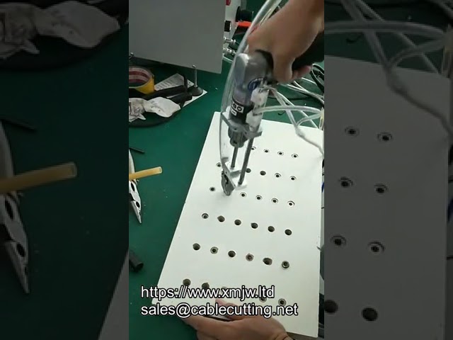 Özelleştirilmiş Otomatik Tornavida Makinesi | Endüstriyel Vidalama Sistemi
