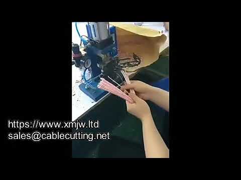 WPM-150-A Multi-Core Wire Vertical Electric Heating Stripping Machine